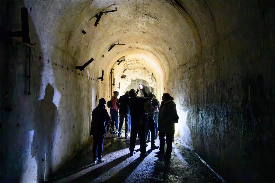 Besucher werden nur einmal im Jahr durch die Gewölbe geführt, um die Tiere nicht zu stören.Patrick Pleul/dpa