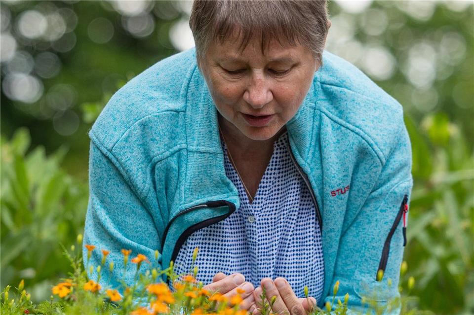 Besucherin Marion Krause riecht an einer Gewürztagetes. Jürgen Lösel/dpa