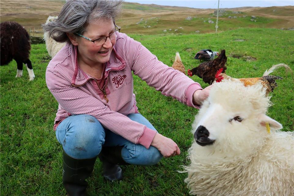 Bei den Spinnern: Die Shetlands als Mekka der Strick-Szene Betreibt eine Farm in Walls: Becky Pritchard, die ihre Wolle selbst färbt und verkauft.Verena Wolff/dpa-tmn