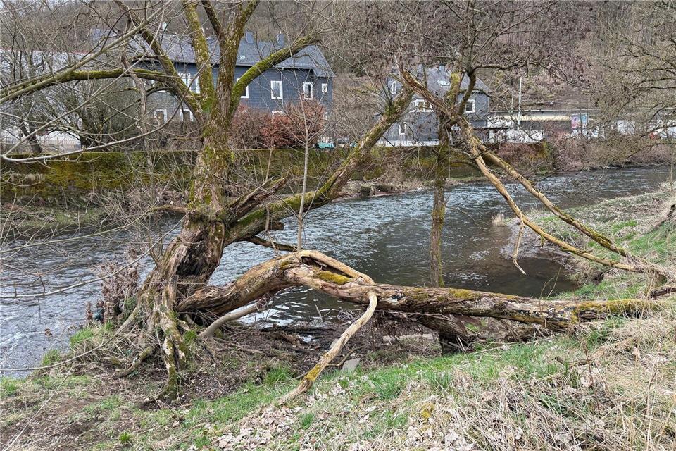 Betreuer haben das Kind aus dem Wasser gezogen. Berthold Stamm/dpa