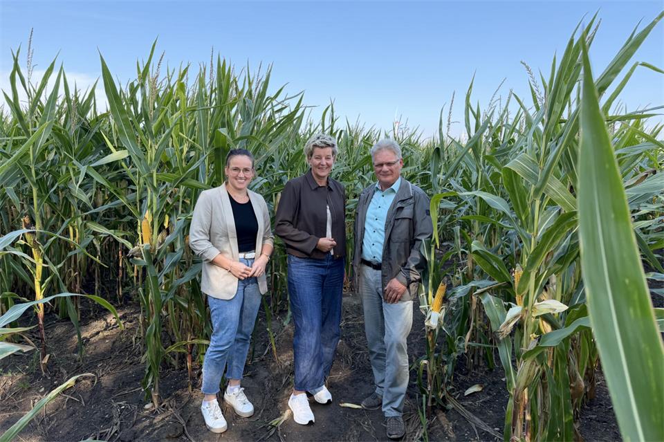 Bettina Hueske, stellvertretende WLV-Kreisverbandsvorsitzende, Landwirtin Elke Böyer und Kreislandwirt Heinrich Emming (von links) zogen ein Resümee über die Ernte 2026 im Kreis Borken.