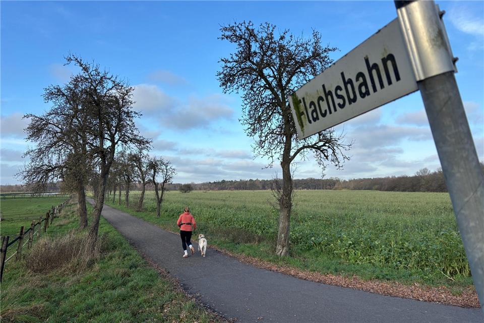 Leserbrief: Halbkausale Denkmuster 