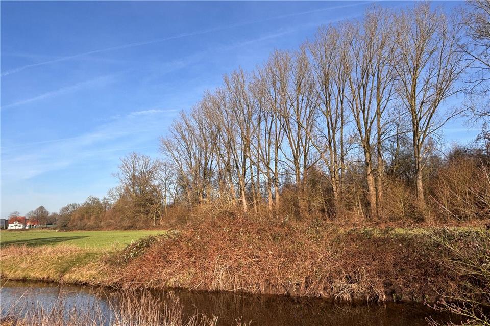 Leserbrief: „Sicher ist sicher“ 