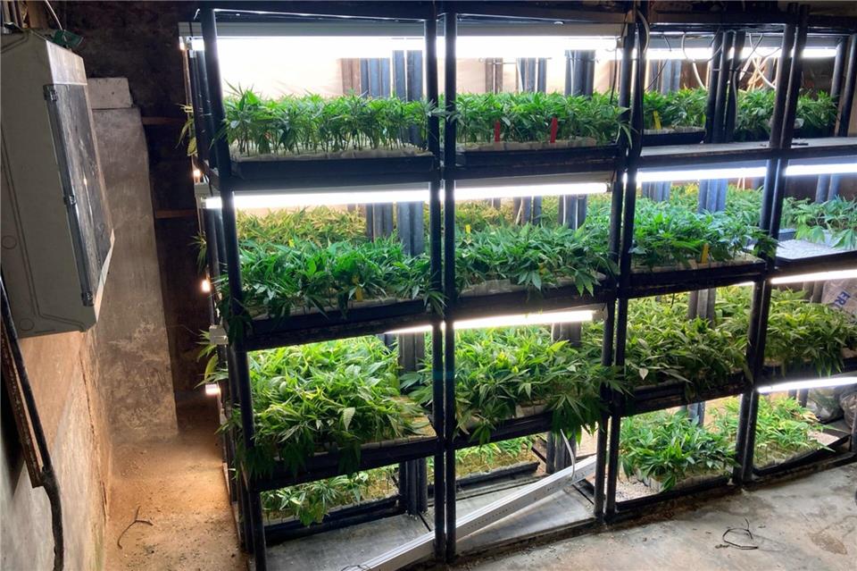 Polizei hebt in Ahaus eine Cannabis-Plantage aus 