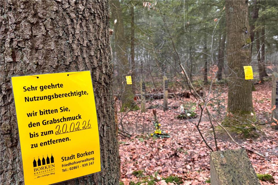 Leserbrief: Unsensible Kommunikation 