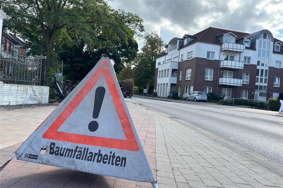 Sperrung in Borken: Baum drohte auf Heidener Straße zu kippen 