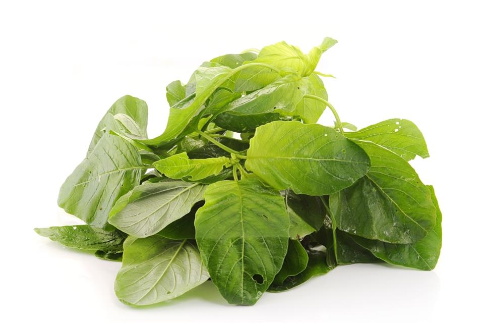 Iglo ruft Spinat zurück 