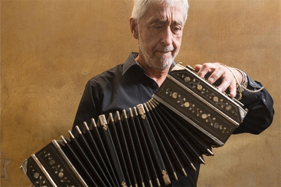Die Elbphilharmonie in Hamburg 