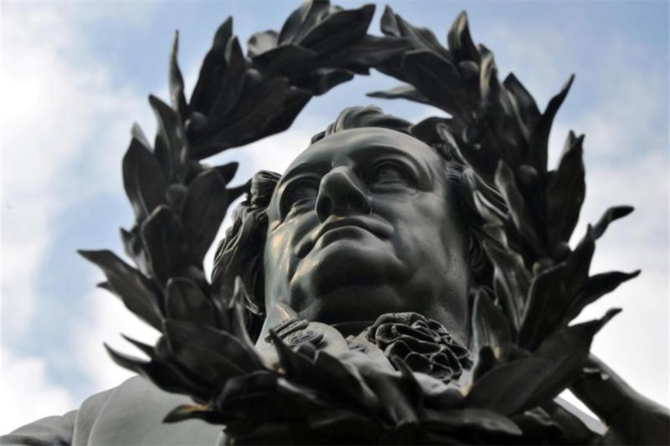 Goethe und die Wissenschaft seiner Zeit 