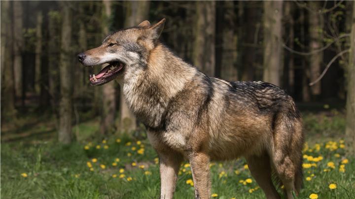 Behörden weisen Unterstellungen zurück 