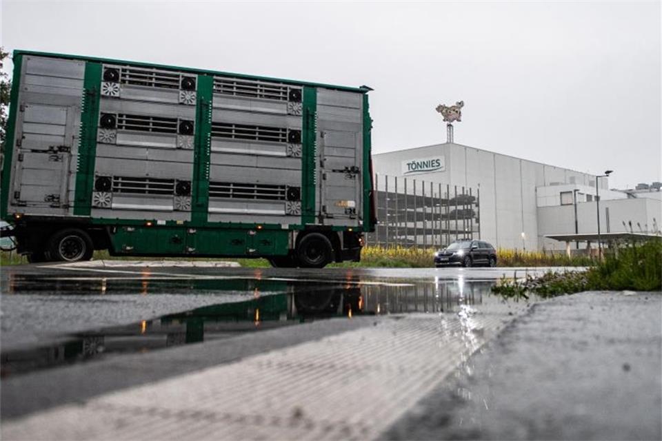 Tönnies schlachtet zum Auftakt etwa 8000 Schweine 