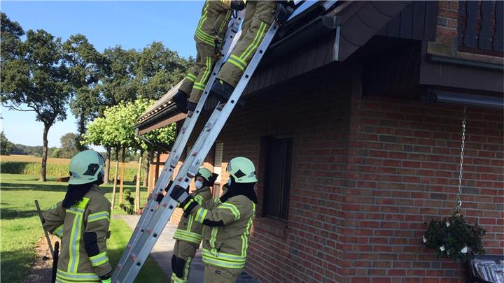 Brand in Erle  