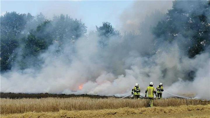 Feldbrand machte Feuerwehr viel Arbeit 