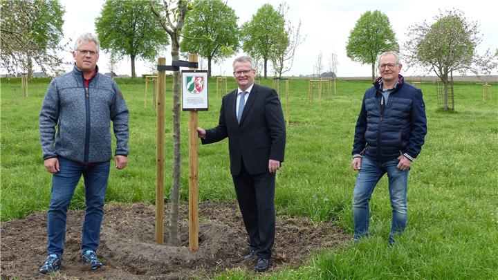 Gemeinde beendet Baumpflanzaktion 