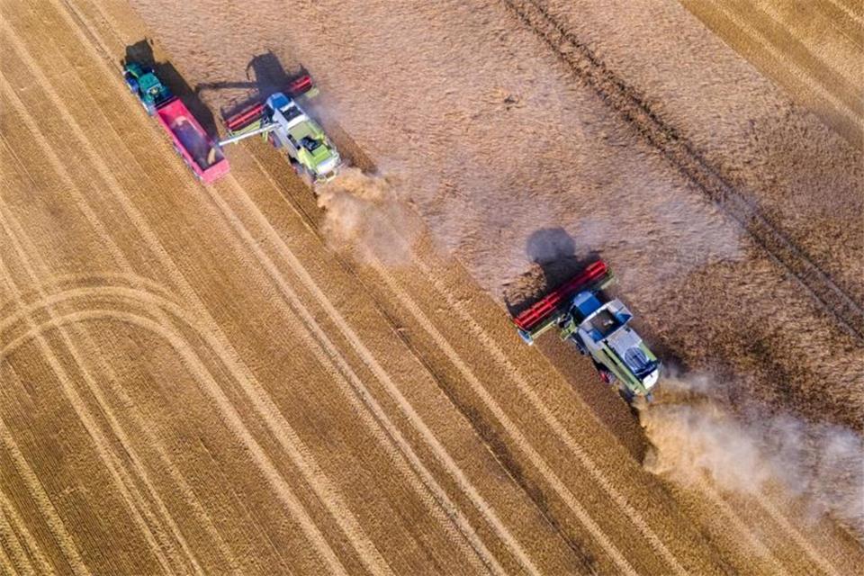 Pachtpreise in der NRW-Landwirtschaft deutlich gestiegen 
