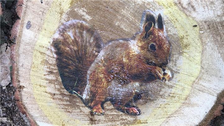 Waldspiele rund ums Eichhörnchen 