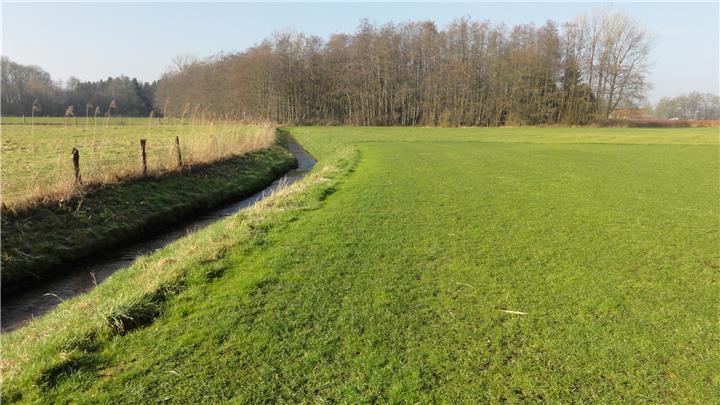 Zwei Bäche in Marbeck kommen in Schwung Zwei Bäche in Marbeck kommen in Schwung