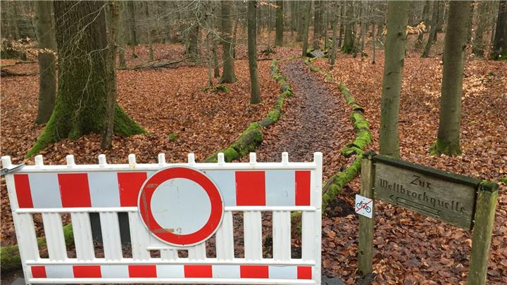 Weg zur Wellbrockquelle im Tiergarten Raesfeld gesperrt 