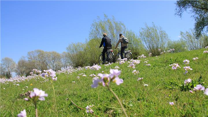 Raesfeld: Mit dem Fahrrad das Klima schützen 