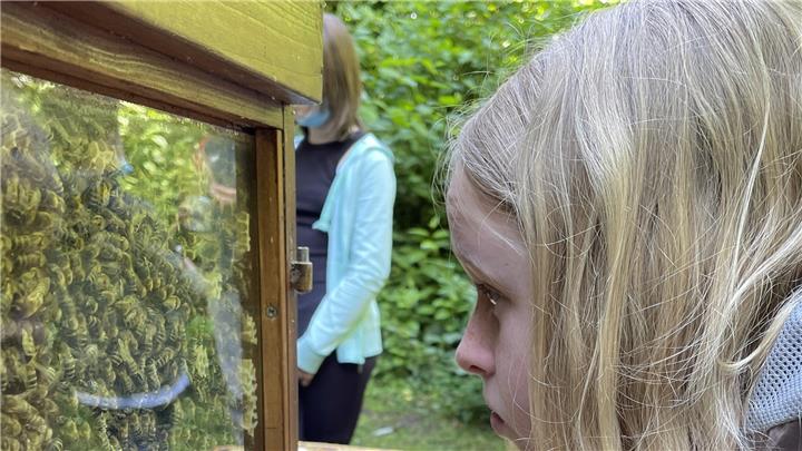 Schüler der Merian-Realschule in Weseke lernen viel über Bienen 
