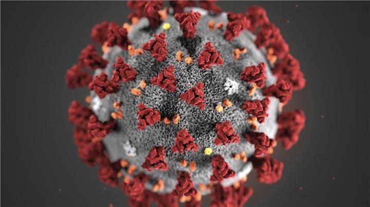 Coronavirus: 746 Neuinfektionen für den Kreis Borken gemeldet Coronavirus: 746 Neuinfektionen für den Kreis Borken gemeldet