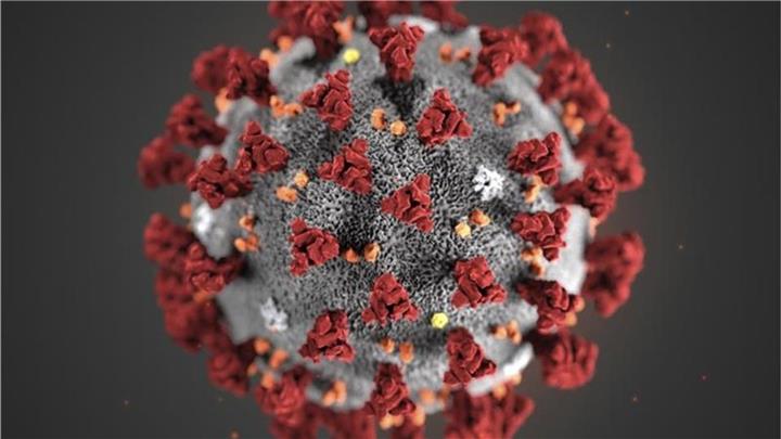 Coronavirus: 541 Neuinfektionen im Kreis Borken registriert Coronavirus: 541 Neuinfektionen im Kreis Borken registriert