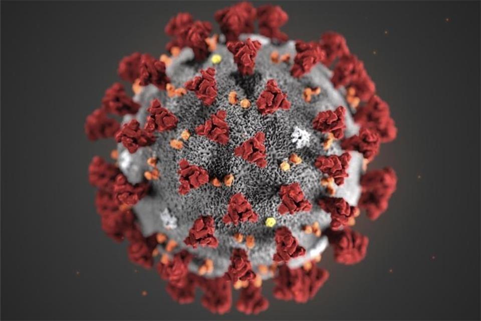 Coronavirus: 218 Personen als genesen eingestuft Coronavirus: 218 Personen als genesen eingestuft