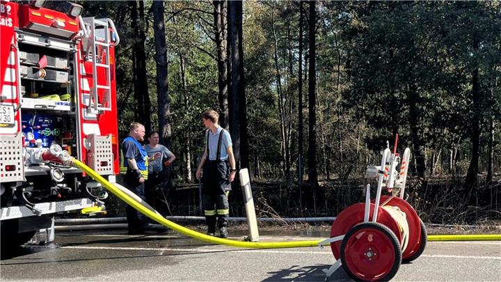 Waldbrand an A 31: Löschzüge erneut im Einsatz  Waldbrand an A 31: Löschzüge erneut im Einsatz