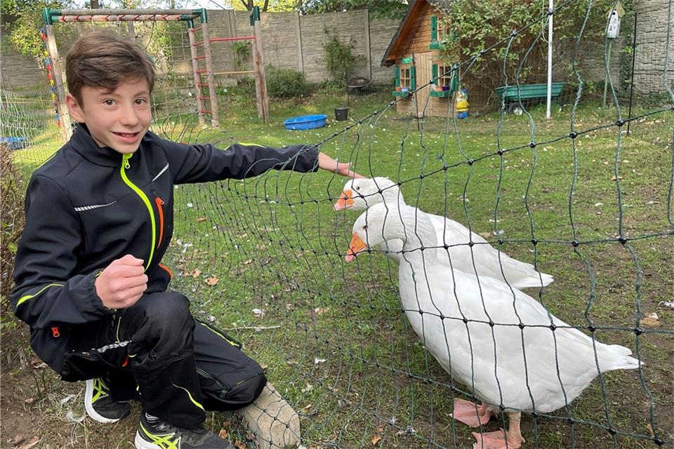 Lennard ist der Anführer für drei Gänse