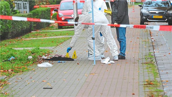 Blickpunkt über Kriminalität und die Polizei in den Niederlanden 