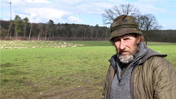 Mutmaßlicher Wolf tötet Schafe und Lämmer in Lembeck 