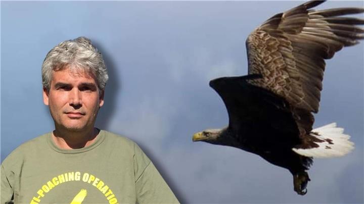 Tierschützer entsetzt: Seltener Seeadler in Dorsten gefunden 
