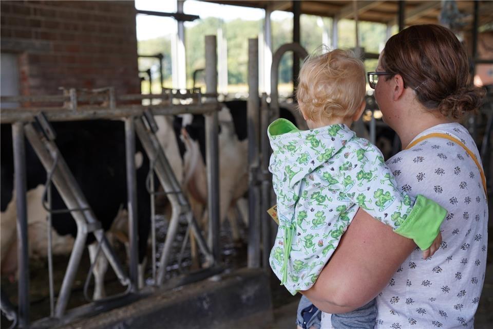 Höfe-Rallye am Sonntag mit Rodeo und Wettmelken