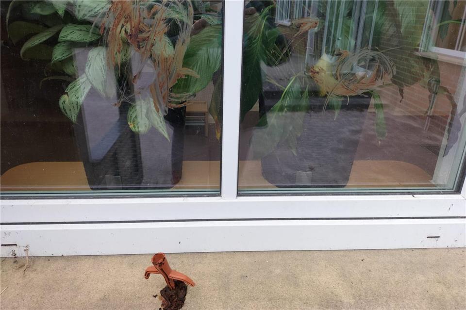 Unbekannte beschmieren Kita in Rhedebrügge mit Kot 