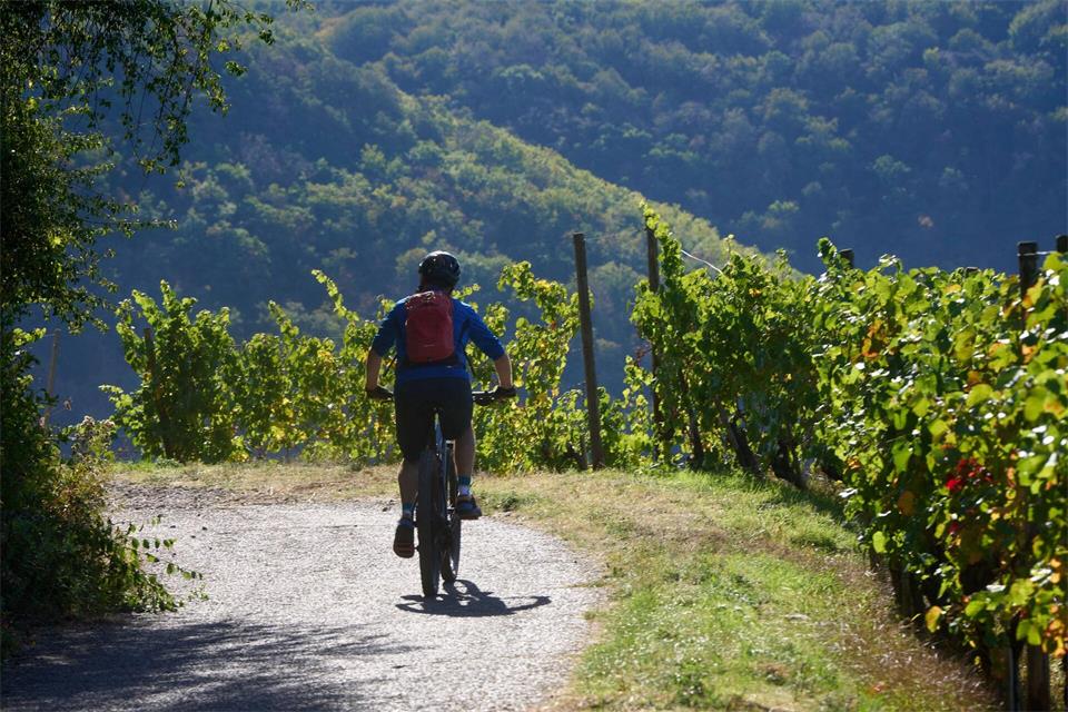 Bis Mittwoch klettern die Temperaturen auf bis zu 30 Grad. (Symbolbild)Thomas Frey/dpa