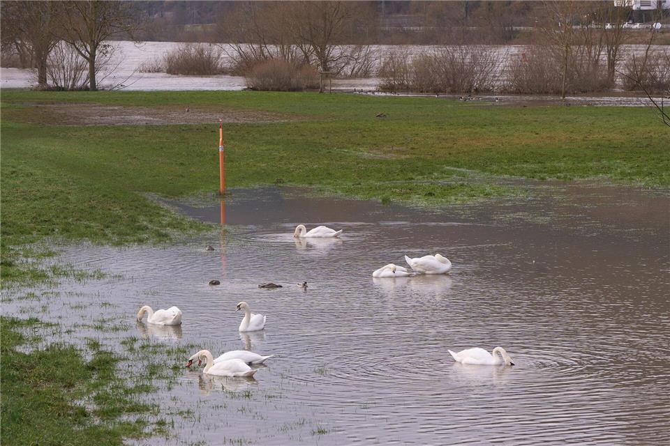 Bis einschließlich Sonntag sollen die Wasserstände an Rhein und Mosel sinken. Thomas Frey/dpa