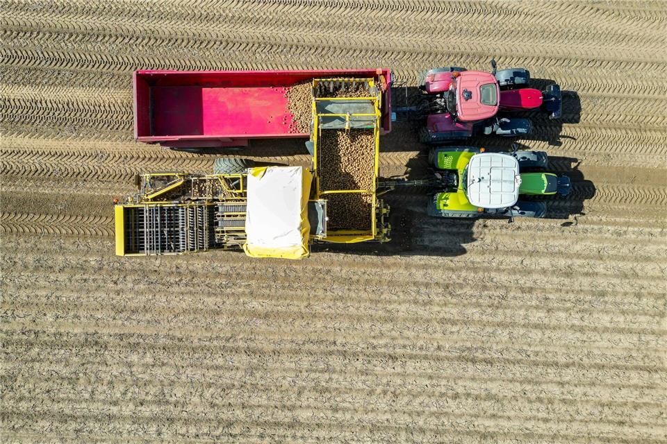 Bis in den Oktober hinein werden die Maschinen zur Kartoffelernte noch im Einsatz sein. Jan Woitas/dpa