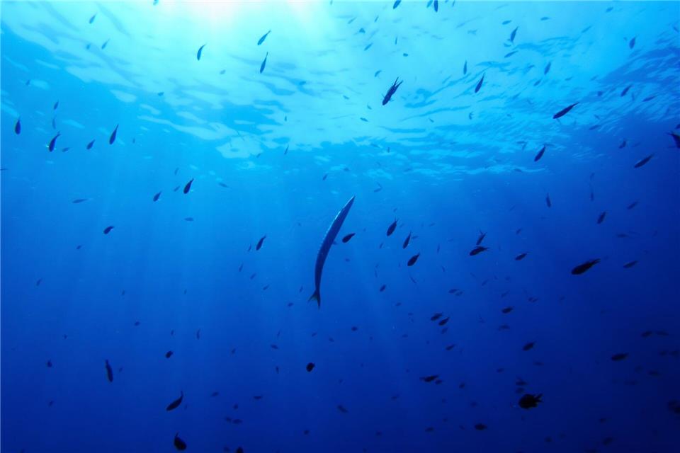 Bisher gibt es für die Hochsee keine einheitlichen Umweltregeln. (Symbolbild)Annika Hammerschlag/AP/dpa