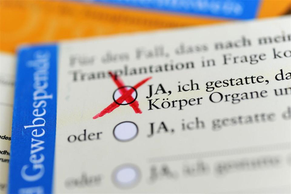 Bislang muss in Deutschland einer Organspende explizit zugestimmt werden. Nun läuft wieder eine Debatte, wie mehr Organspenden erreicht werden können - auch in Rheinland-Pfalz. (Archivfoto)Marie Reichenbach/dpa