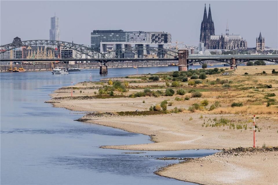 Blick auf Köln mit Sandbänken am Rhein.Rolf Vennenbernd/dpa