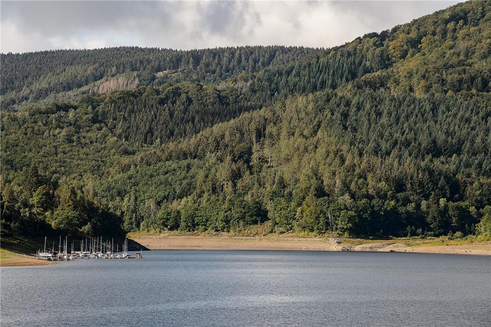 Blick auf den Stausee der Innerstetalsperre. (Archivbild)Swen Pförtner/dpa