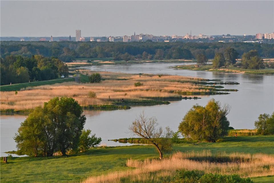 Blick auf den deutsch-polnischen Grenzfluss Oder. (Archivbild)Patrick Pleul/dpa