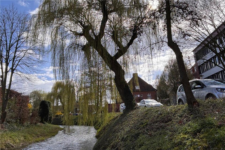 Blick auf die Borkener Aa am Rathaus: Die Böschung soll naturnäher gestaltet werden, die Parkplätze längs der Straße sollen wegfallen.
