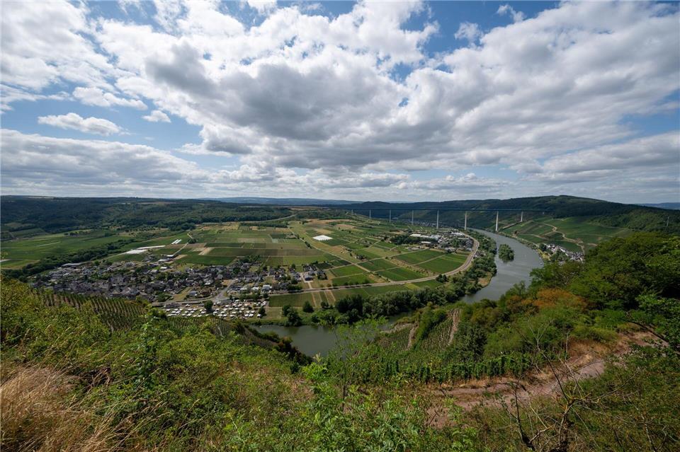 Blick auf die Mosel bei Ürzig. Die große Hitze bleibt in den kommenden Tagen aus. Harald Tittel/dpa