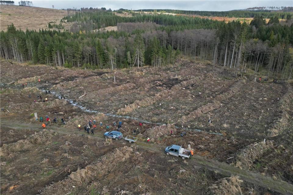 Blick auf eine Forstfläche im Oberharz, aufgenommen mit einer Drohne. (Archivbild)Matthias Bein/dpa