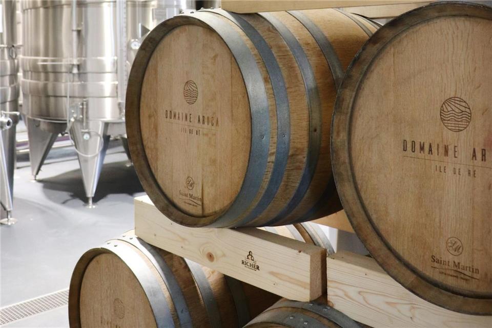 Blick hinter die Kulissen: Auch das Bio-Weingut „Domaine Arica“ in Loix führt Gäste bei Rundgängen umher.Deike Uhtenwoldt/dpa-tmn