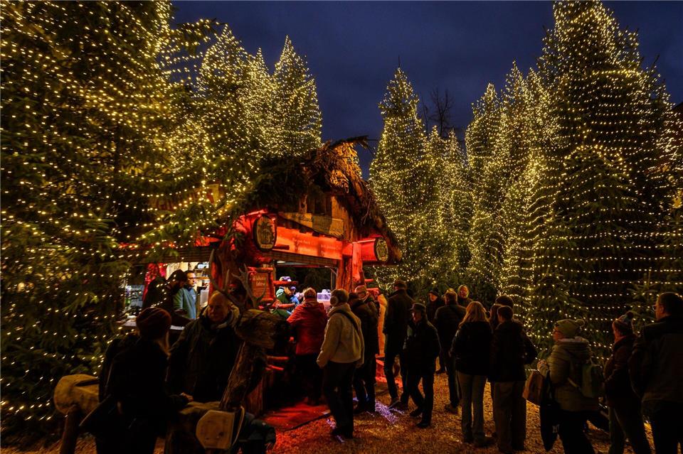 Blick in den Weihnachtswald auf dem Weihnachtsmarkt in Goslar.Swen Pförtner/dpa
