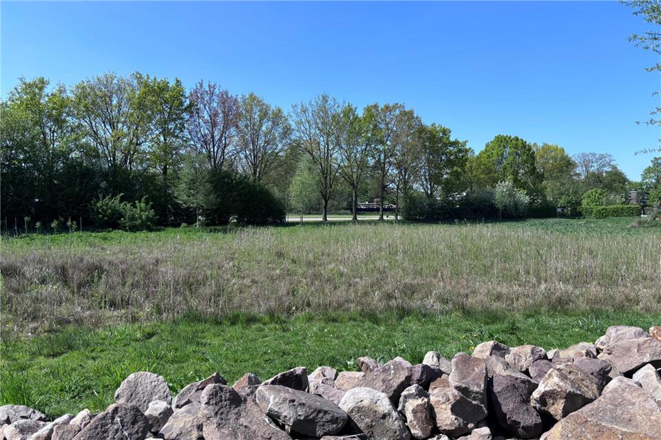 Blick vom Biotop am Regenrückhaltebecken: Hinter der Baumreihe (Bildmitte) soll 2027 ein Wohnmobilplatz entstehen.