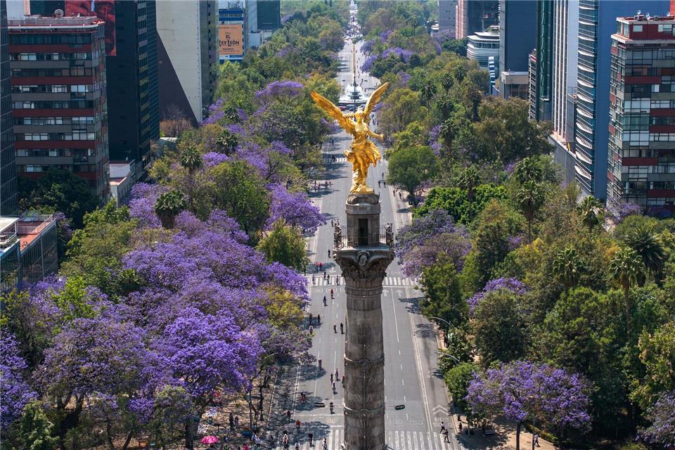 Stadt-Begrünung könnte Zahl der Hitzeopfer deutlich senken Blühende Jacaranda-Bäume entlang der Avenida Reforma in Mexiko-Stadt. (Archivbild)Li Muzi/XinHua/dpa