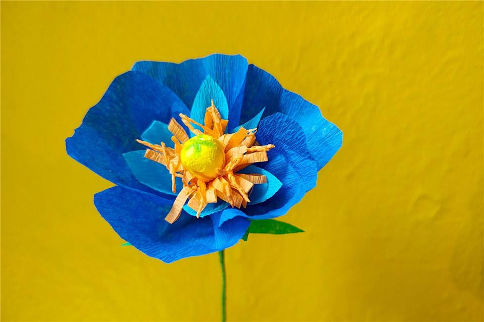 Blumen aus Krepppapier basteln - eine nachhaltige Idee und ideal für Allergiker.Isabelle Modler/dpa-tmn